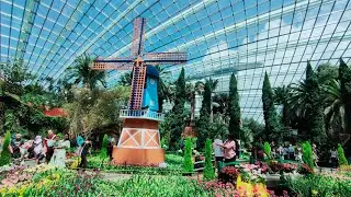 FLOWER DOME TULIP MANIA || Explore Flower Dome Singapore