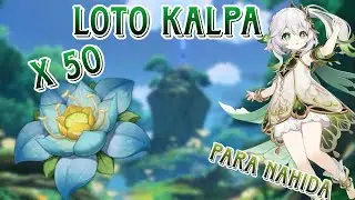 Loto Kalpa Ruta de Farmeo | Material para Nahida | Guía | Genshin Impact