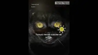 Группа Браво, Черный кот кавер #пойсомной