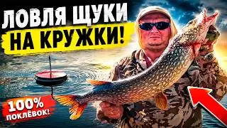 PIKE FISHING WITH LIVE BAIT RIGS: A secret old-school anglers are hiding! Don't set your rigs unt...
