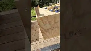 New Whelping and Puppy Houses