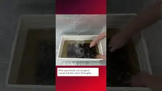 Quick Tip: Easily Clean Your Laser's Bed