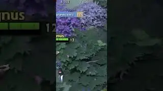 МАГНУС ДОТА 2 #дота #дота2 #dota2 #funny #meme #прикол #троллинг