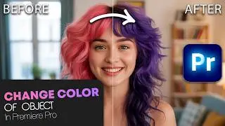 How To CHANGE The COLOR Of An Object In Premiere Pro