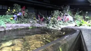 Hotels4u.com at 'Sea Life London Aquarium'