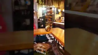 Часы белого кролика