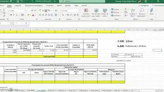 Presupuesto MOD 1