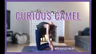 Camel Flow (All-Levels Vinyasa) | PLAYLIST IN DESC. BOX!