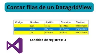 Contar filas de un datagridview en Visual Studio | Contar registros de un datagridview