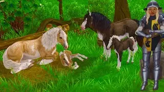 NEW Medieval Fair Is Here in Star Stable