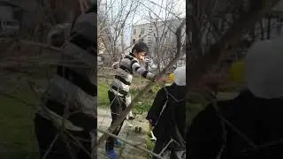 Касоеки хдшона тема мекнан