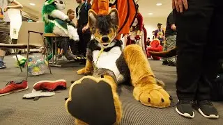 Richie's Paws & Cuddle Party at Eurofurence 26 *** for Furry, Fursuiters and read description first