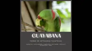 Guayabana tienda de artesanas yucatecas