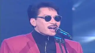 Những Bài Hát Hay Nhất của Ca Sĩ Trung Hành Hải Ngoại - Papa, Nếu Một Ngày, Thôi, Yêu Nhau Đi