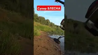 Убойная блесна на щуку,окуня и жереха👍👍👍 #shorts #fishing #рыбалка