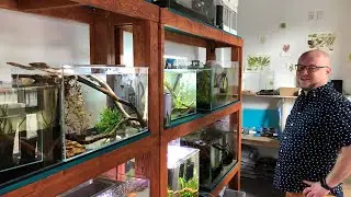 ADA Aquariums *PRIVATE* Fish Store Tour