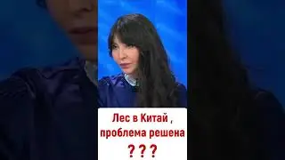 Лес в Китай , вопрос Медведеву был