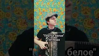 Платье белое - Петлюра, на баяне 