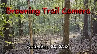 Browning Trail Camera October 20, 2024
