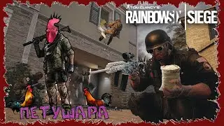 RAINBOW SIX SIEGE БАГИ ФЕЙЛЫ ПРИКОЛЫ 2023 - Петушара