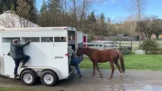 SAFE Field Trip | Bridle Trails Feb 2024