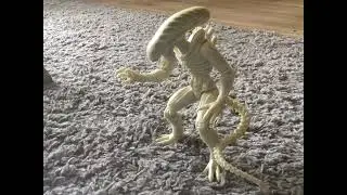 Ailen animation test