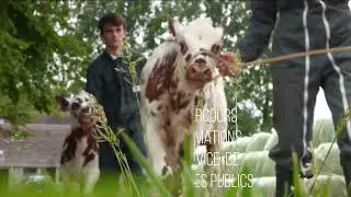 Pourquoi choisir l'enseignement agricole en Normandie ?