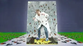 ЗАКРЫЛИ В КУБЕ С 1000 ТАРАКАНАМИ НА ЦЕЛЫЙ ЧАС!