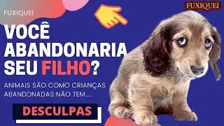 A Associação Comunitária dos Moradores -constrói casa para cachorros de Rua.