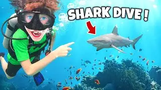 KIDS Dive with SHARKS, TURTLES, and BARRACUDA! River & Wilder Show