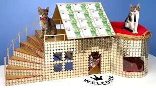 I Gave Homeless Kittens $1,000,000 House