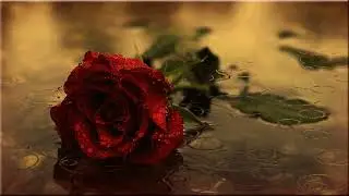 Love is evil