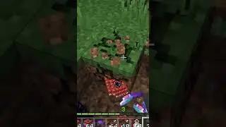 Minecraft But, Dirt Gives Op Item 😲 #short #minecraft
