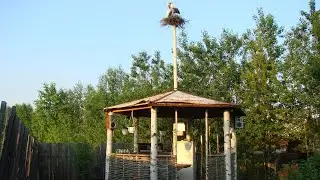 Демонтаж любимой беседки
