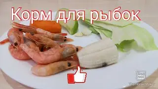 Homemade food for aquarium fish