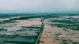 PULUHAN HEKTAR SAWAH TERGENANG BANJIR - DRONE VIEW