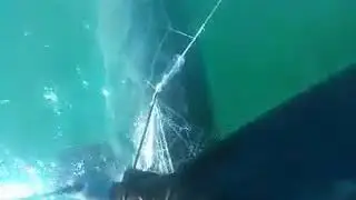 #каспий