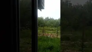 Я веrнулась