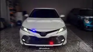 Вит из лев Қанат, ты же женат What Is Love (Baby Don’t Hurt Me) 💔