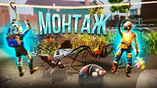 КАНАТНАЯ ДОРОГА-МОНТАЖ