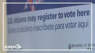 Primary Elections: Election security