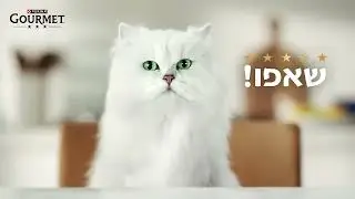 purina --מזון  גורמה 🐈 😋 באריזות פאוץ' -קריינות 🎙️ שני פופליקר - ייצוג סוכנות @user-Miky-Karyanim 🎙️