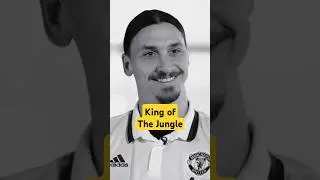King of The Jungle — Zlatan Ibrahimović