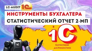 Статистический отчет 2 МП квартальный