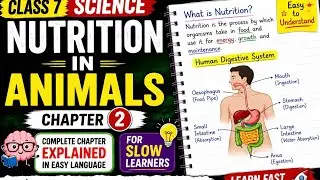 Class 7 Sceince Chapter 2 Nutrition In Animals Part 1 #Handwritten notes#