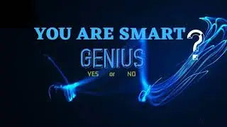 LEVEL 1 | genius