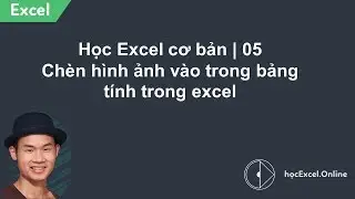 Học Excel cơ bản | 05 Chèn hình ảnh vào trong bảng tính trong excel
