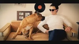 Сергей Рыбачёв - 