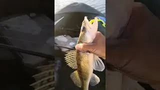 Нежданчик часть 2