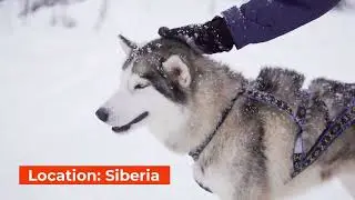 Vacation in Siberia | Siberia Adventure Tour 2022 